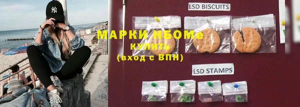 индика Мегион