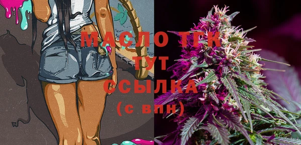 индика Мегион