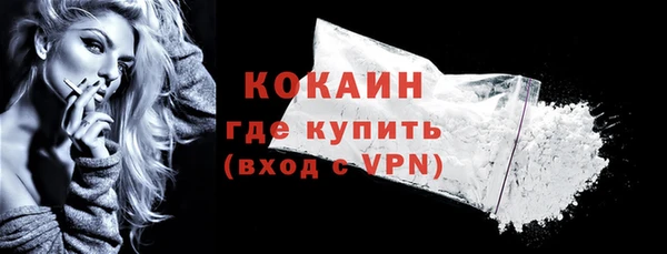 индика Мегион