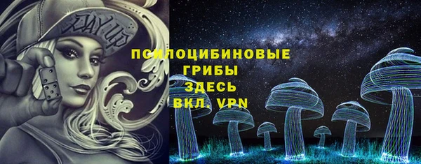 индика Мегион