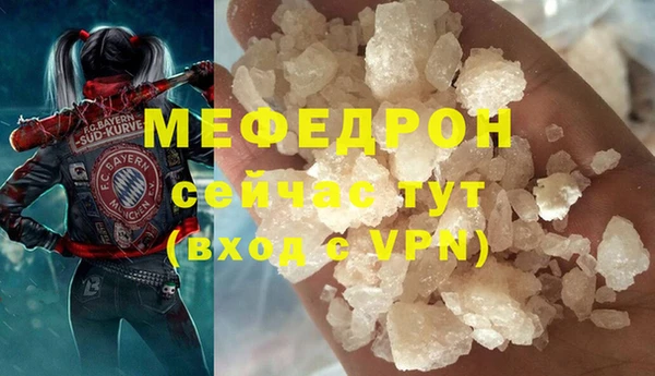 индика Мегион