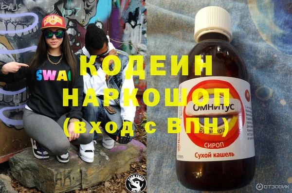 индика Мегион