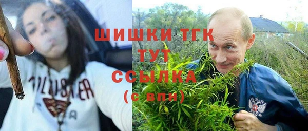 индика Мегион