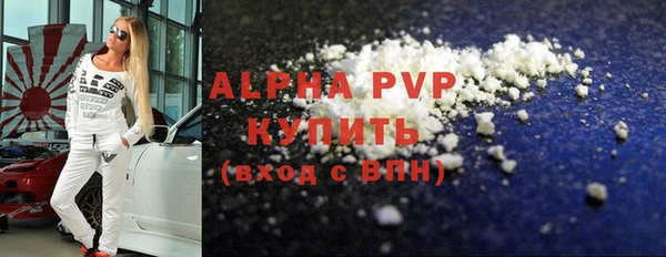 индика Мегион