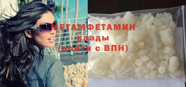 индика Мегион