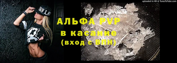 индика Мегион