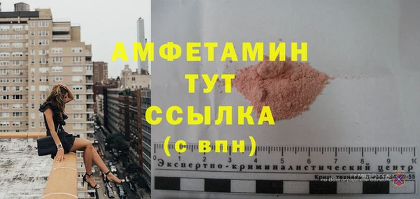 индика Мегион