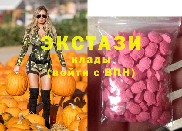 индика Мегион