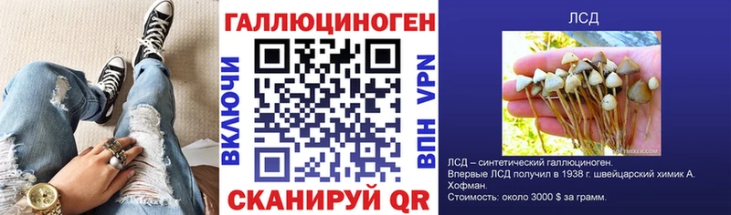 Купить закладки  Коммунар  Псилоцибиновые грибы GOLDEN TEACHER 